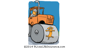 Shoulda Gone to 9LivesLifeInsurance.com